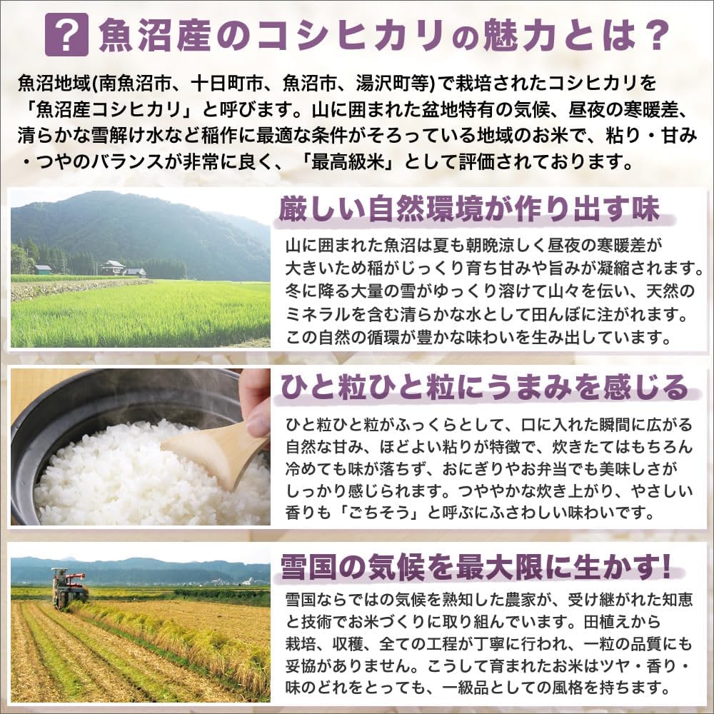 令和7年産 産直 魚沼産 コシヒカリ 5kg 米