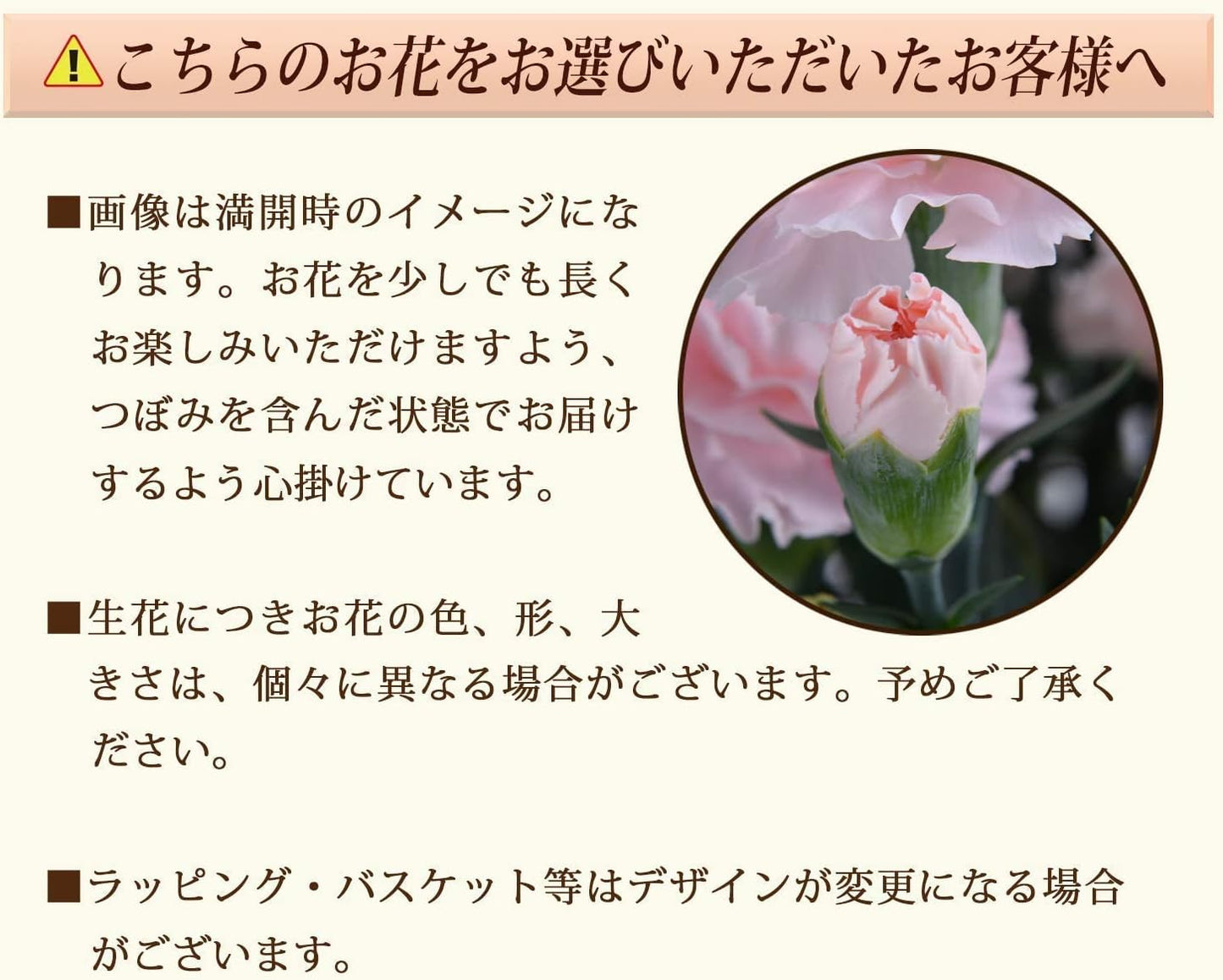 花のギフト社 母の日 花 カーネーション 母の日ギフト 鉢植え プレゼント さくらフロマージュ 5号