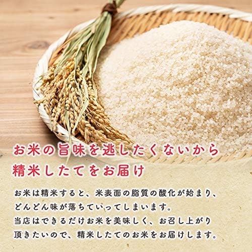秋田県産 あきたこまち 5kg（精米）