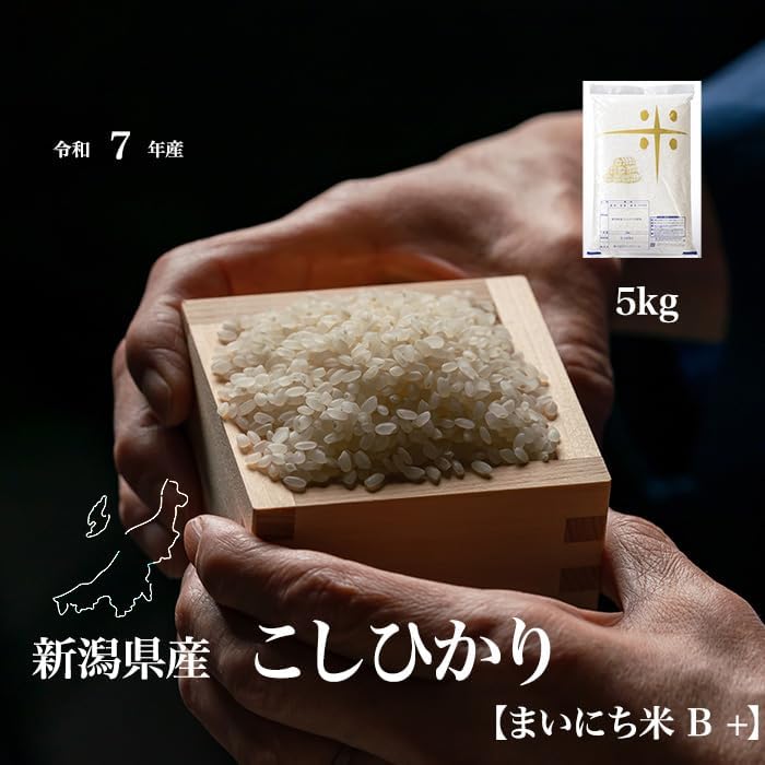 【まいにち米B +】新潟県産こしひかり 5kg 令和7年産【農家直送 受注精米】