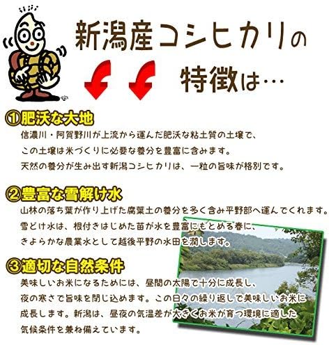 白米 10kg 新潟県産 コシヒカリ 令和7年産 お米マイスター厳選 自家精米 越後の米穀商高田屋（5kg×2))