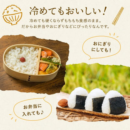 野沢農産 新米 令和7年産 お米 長野県産 無洗米 (30kg, つきあかり)