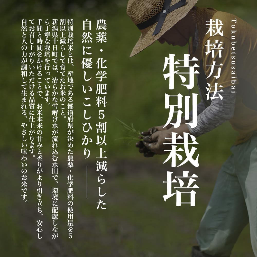 令和7年産 無洗米 こしひかり 2kg 新潟県 魚沼 十日町産 特別栽培米 雪蔵保管 チャック付き お米場田心