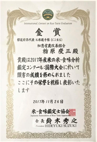 熊本県産 ヒノヒカリ 5kg 【 無洗米 】