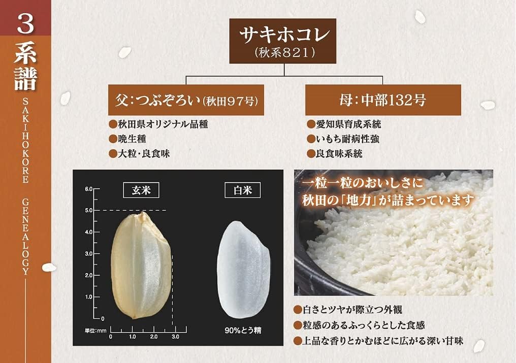 パールライス 秋田県産 白米 サキホコレ 2kg 令和7年産