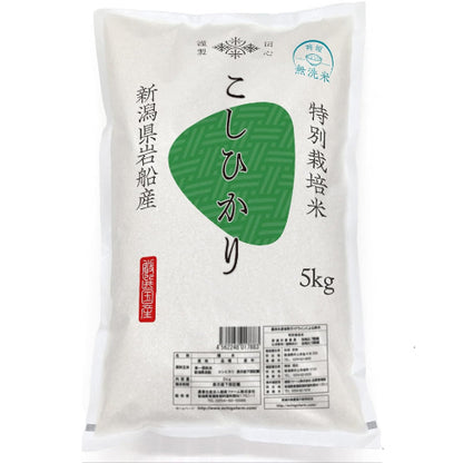 無洗米 5kg 【雪冷気で鮮度保持】 新潟県産コシヒカリ 【岩船限定】特別栽培米【農薬・化学肥料50％未満】7年産