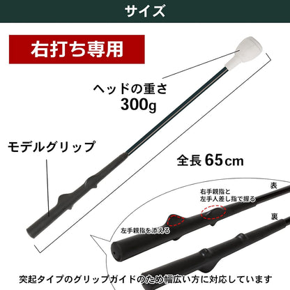 Tabata(タバタ) ゴルフ 素振り スイング改善 空気入れ簡単 持ち運びに便利 トレーニング 練習器具 スイング練習機 ゴルフ練習用品 三角先生 Fit GV0366