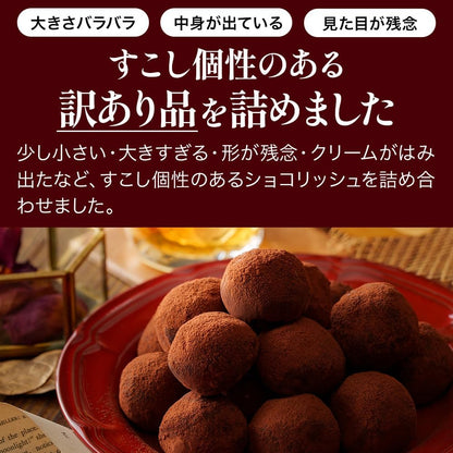 健康茶通販ふくちゃ ショコリッシュ 訳ありショコリッシュリッチショコラ味480g プレミアムショコラ 濃厚ショコラ ギフト プレゼント 生チョコ トリュフ スイーツ チョコアイス 大福 ガナッシュ 手作り ティータイム用 訳あり