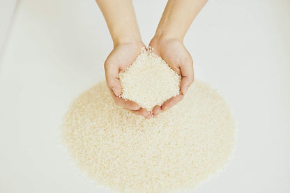 【無洗米(白米)】令和7年 兵庫県産ヒノヒカリ 5kg 職人のこだわり