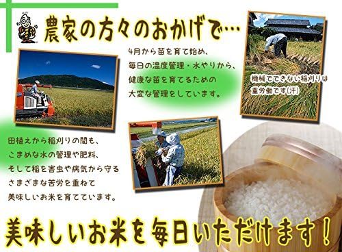 白米 10kg 新潟県産 コシヒカリ 令和7年産 お米マイスター厳選 自家精米 越後の米穀商高田屋（5kg×2))