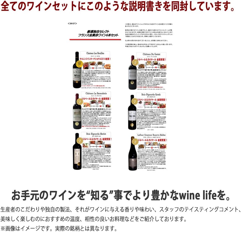 ヴィネクシオ 全てトリプル金賞 AOC格上ボルドー入り 赤ワイン 750ml × 6本セット ワイン ソムリエ厳選
