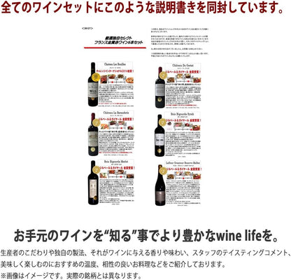 ヴィネクシオ 全てトリプル金賞 AOC格上ボルドー入り 赤ワイン 750ml × 6本セット ワイン ソムリエ厳選