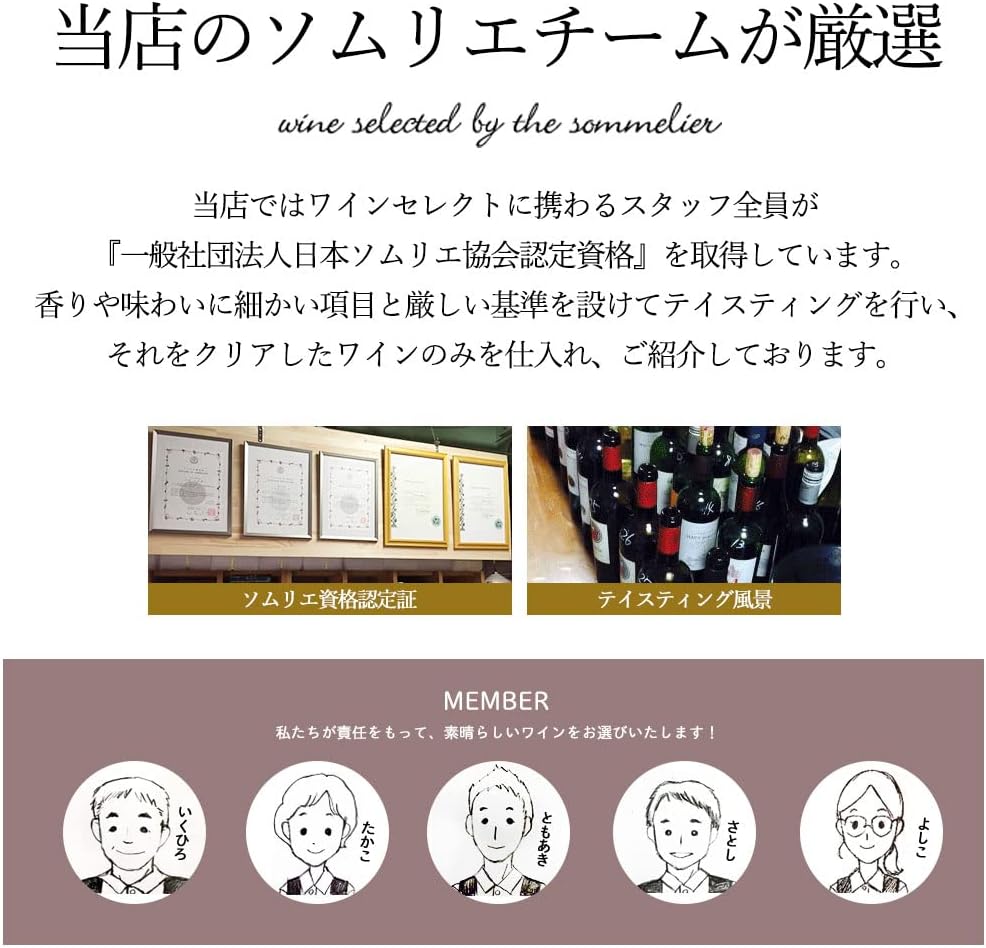 ヴィネクシオ 全てトリプル金賞 AOC格上ボルドー入り 赤ワイン 750ml × 6本セット ワイン ソムリエ厳選