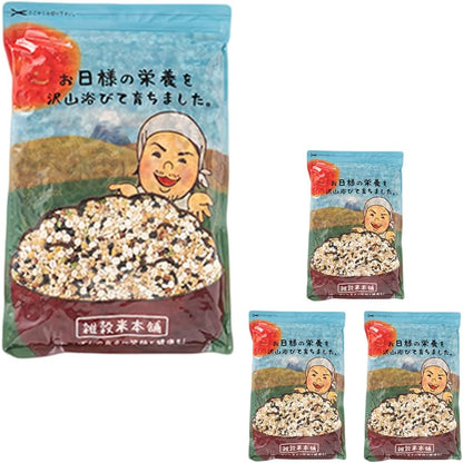 雑穀米本舗 明日への輝き39穀米ブレンド 1kg(1袋) 混ぜるだけ 国産 発芽玄米 スーパーフード 無添加 無着色 もっちり 雑穀米