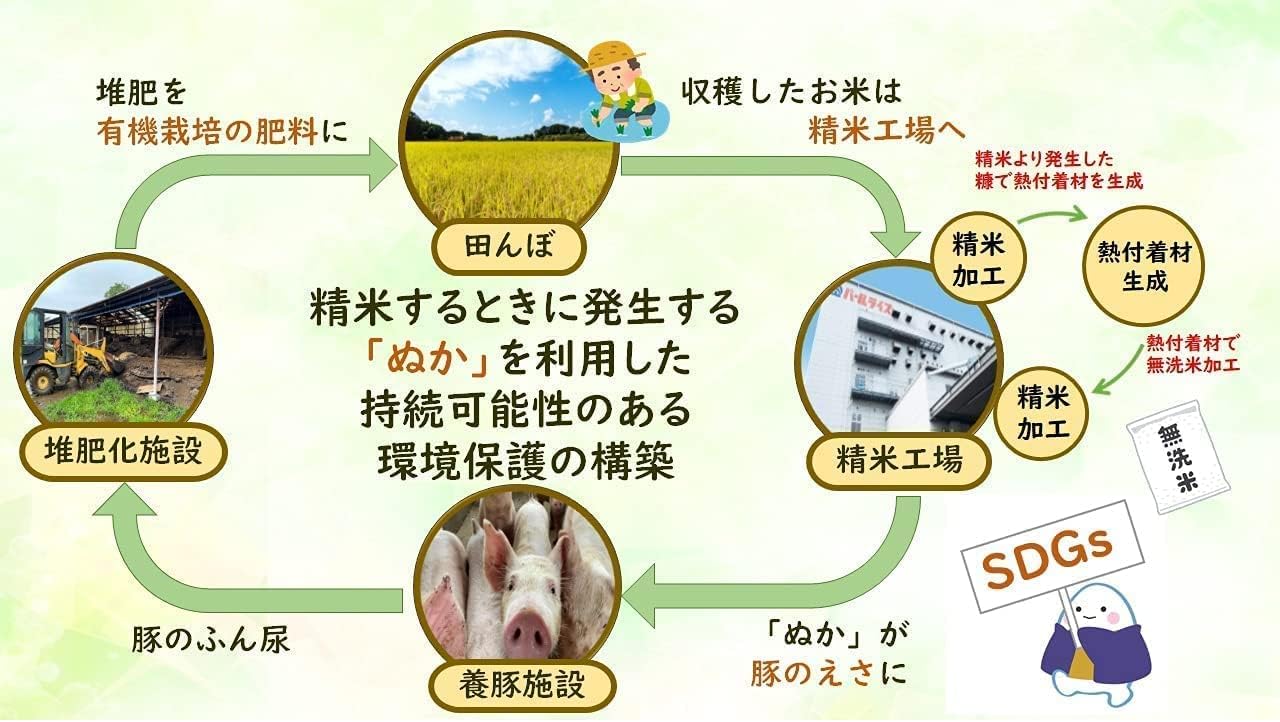 パールライス 福島県産 無洗米 天のつぶ 5kg 令和7年産