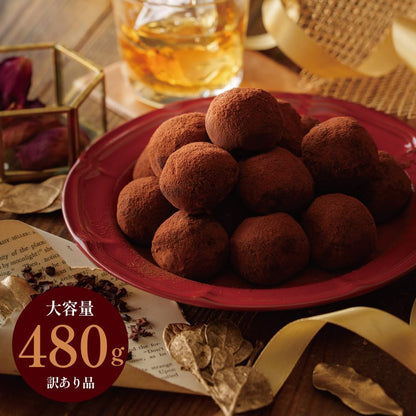 健康茶通販ふくちゃ ショコリッシュ 訳ありショコリッシュリッチショコラ味480g プレミアムショコラ 濃厚ショコラ ギフト プレゼント 生チョコ トリュフ スイーツ チョコアイス 大福 ガナッシュ 手作り ティータイム用 訳あり