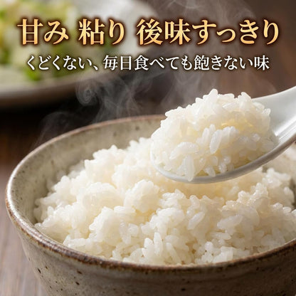 野沢農産 米 コシヒカリ 長野県産 令和7年産 5kg 通常精米