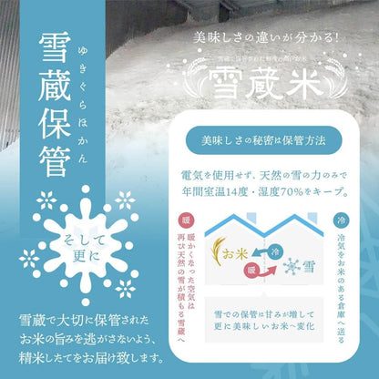 無洗米 5kg 【雪冷気で鮮度保持】 新潟県産コシヒカリ 【岩船限定】特別栽培米【農薬・化学肥料50％未満】7年産