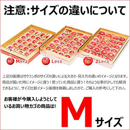 竹城青果 母の日 ぴったり！山形県産 さくらんぼ 佐藤錦 プレミアムボックス