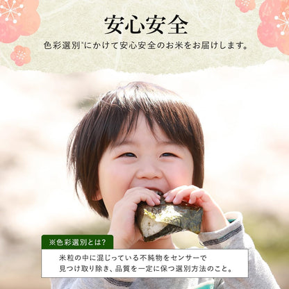 野沢農産 令和7年産 米 お米 無洗米 新潟県 魚沼産 コシヒカリ 5kg mybest 2026年2月受賞