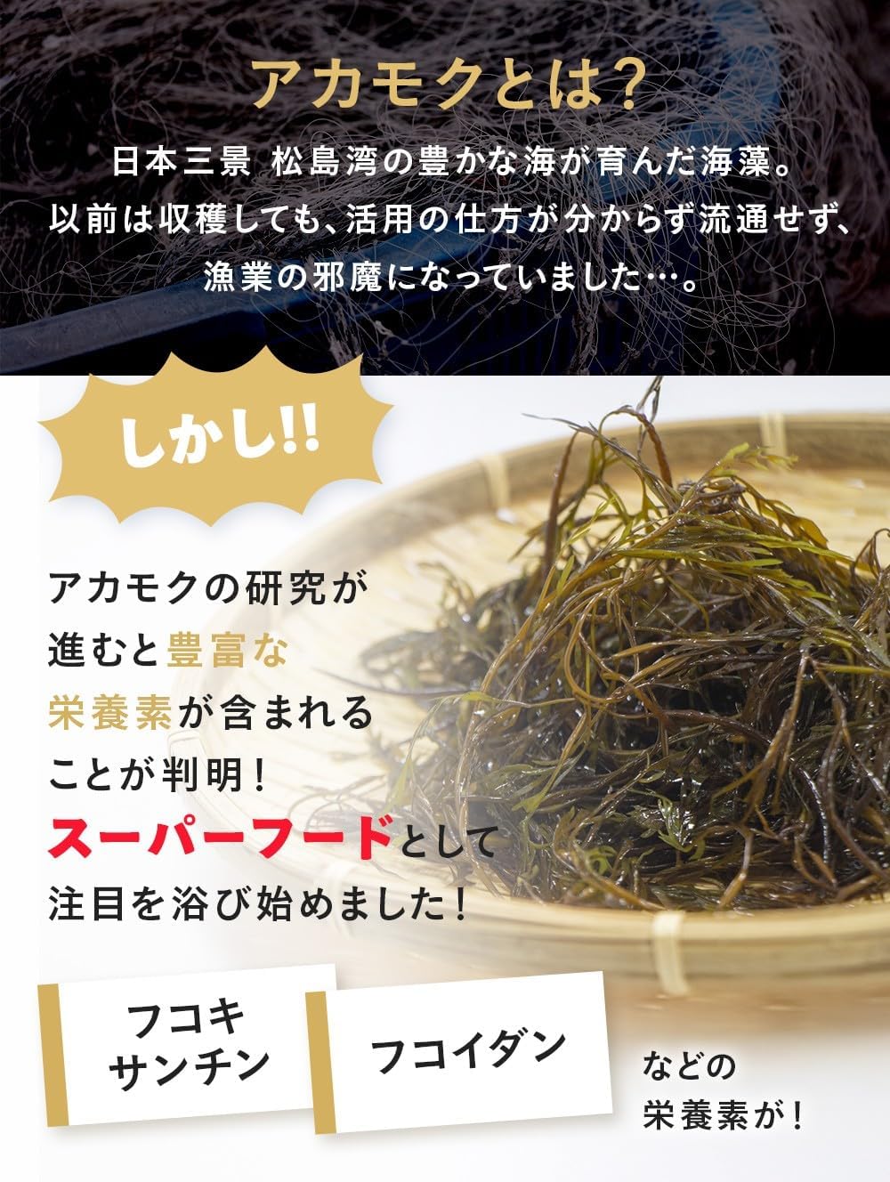 グルテンフリー 麺 米粉麺 【 無添加 アレルゲンフリー ！ アカモク × 国産米100% 】 パスタ グルテンフリーパスタ 米粉パスタ ラーメン フォー 米粉うどん そば