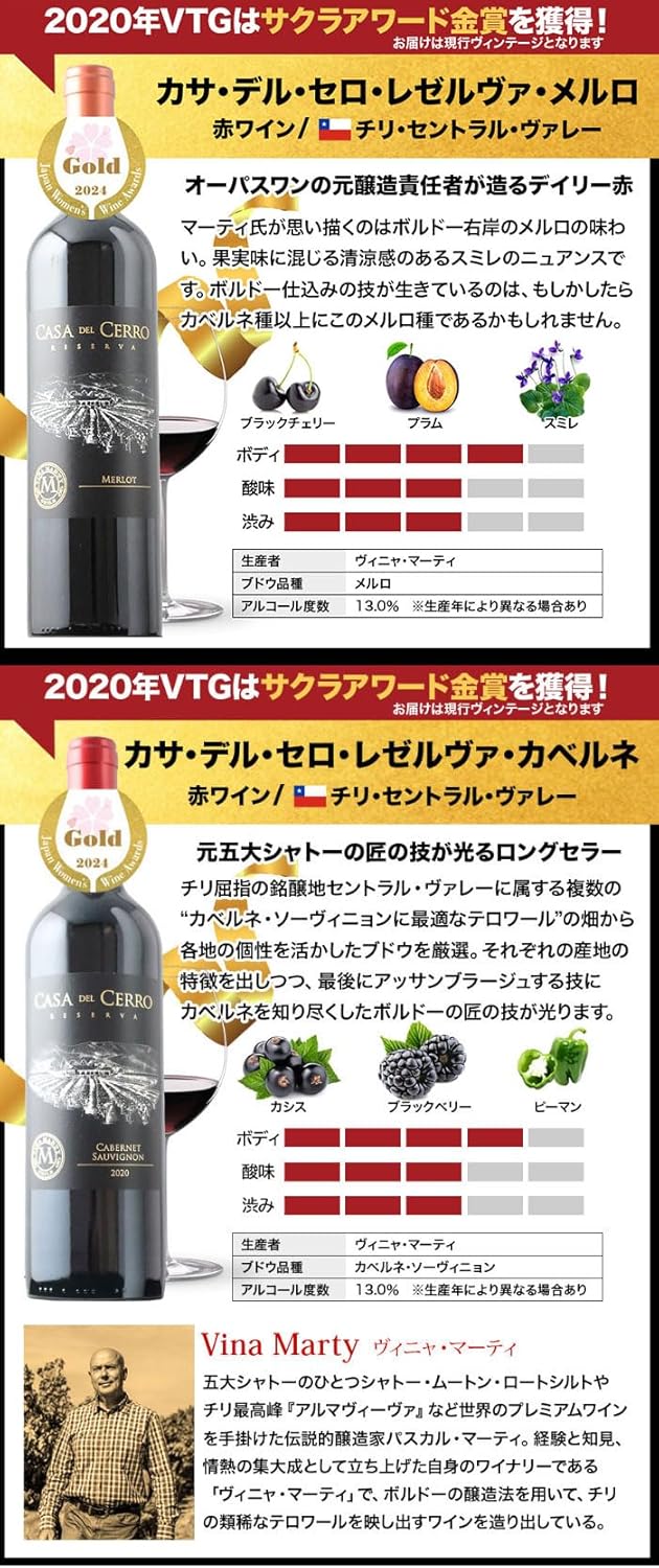 ワインショップソムリエ 16周年記念！金賞ボルドーと元五大シャトー醸造家の赤ワイン12本セット（赤ワインのみ12本）ワインセット フランス