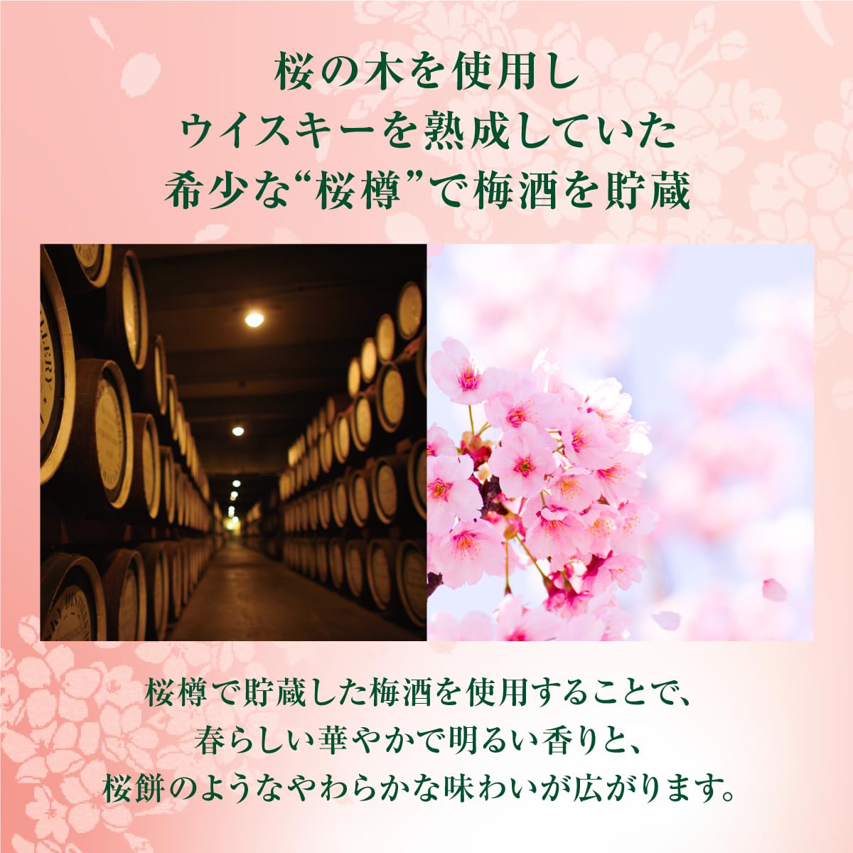 サントリー梅酒 山崎蒸溜所貯蔵梅酒 リッチアンバー桜樽ブレンド [梅酒 750ml ギフトボックス入り ギフトセット]