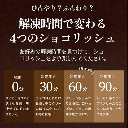 健康茶通販ふくちゃ ショコリッシュ 訳ありショコリッシュリッチショコラ味480g プレミアムショコラ 濃厚ショコラ ギフト プレゼント 生チョコ トリュフ スイーツ チョコアイス 大福 ガナッシュ 手作り ティータイム用 訳あり