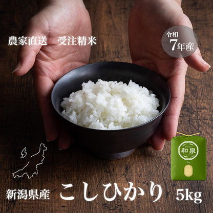 新潟県産コシヒカリ 和泉 ５kg 令和7年産【受注後精米 農家直送】