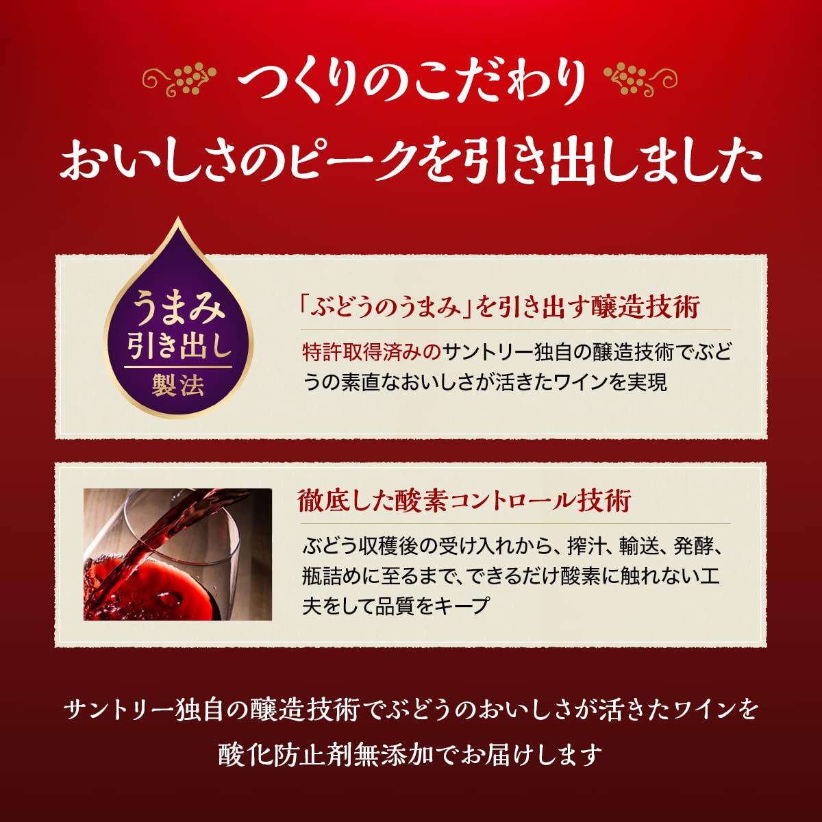 酸化防止剤無添加のおいしいワイン。 濃い赤 [赤ワイン 日本 720ml×12本]