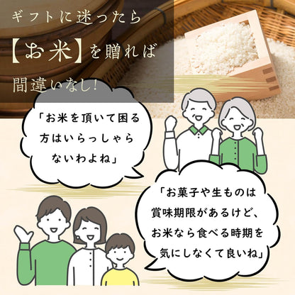 無洗米 5kg 【雪冷気で鮮度保持】 新潟県産コシヒカリ 【岩船限定】特別栽培米【農薬・化学肥料50％未満】7年産