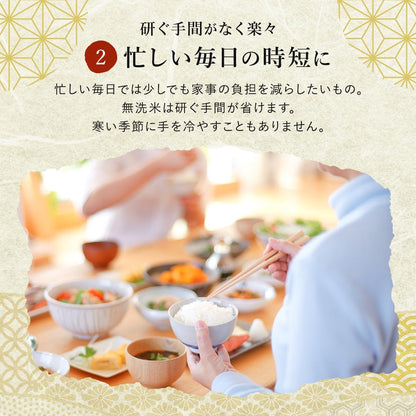 野沢農産 令和7年産 米 お米 無洗米 新潟県 魚沼産 コシヒカリ 5kg mybest 2026年2月受賞