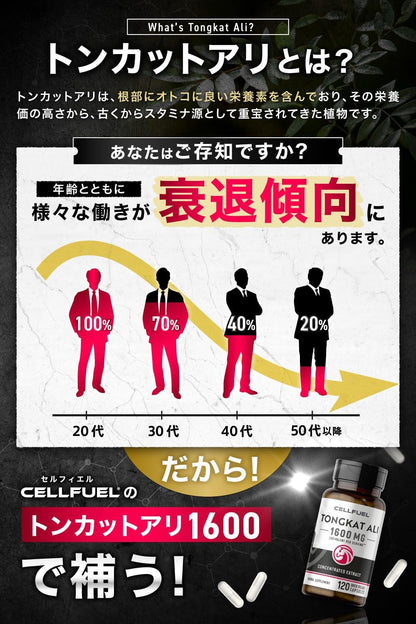 【高配合】トンカットアリ エキス Tongkat Ali 【120粒 60日分】大容量 2粒で生1600㎎ 低温製法 無着色 CoA食品分析書あり CELLFUEL from N.Y. (1)