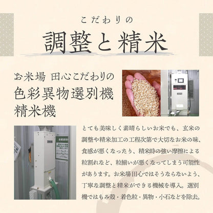無洗米 5kg 【雪冷気で鮮度保持】 新潟県産コシヒカリ 【岩船限定】特別栽培米【農薬・化学肥料50％未満】7年産
