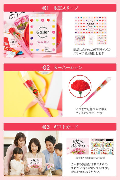 母の日 ギフト ガレー Galler チョコレート ベルギー王室御用達 ミニバー 10本入り 食べ物 お菓子 スイーツ 高級 手さげ袋付き