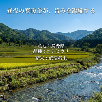 野沢農産 米 コシヒカリ 長野県産 令和7年産 5kg 通常精米
