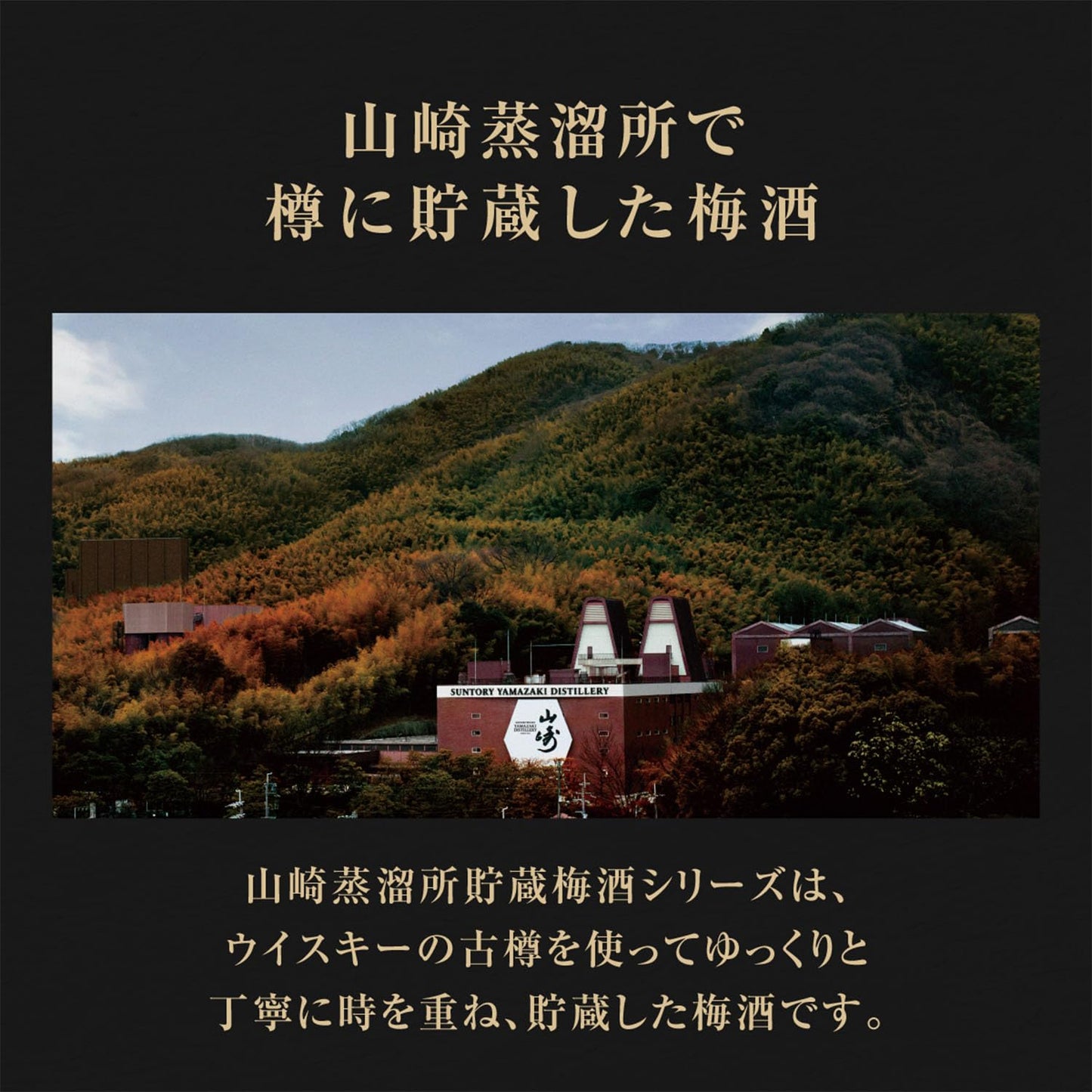 サントリー 山崎蒸溜所貯蔵梅酒リッチアンバー 750ml