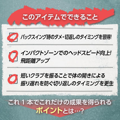 ダイヤゴルフ（DAIYA GOLF） ダイヤスイングシリーズ スイング練習器具 1個