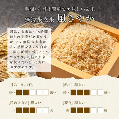 野沢農産 新米 令和7年産 らくらく無洗米玄米 5kg 長野県産 風さやか