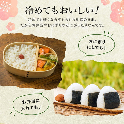 野沢農産 令和7年産 米 お米 無洗米 新潟県 魚沼産 コシヒカリ 5kg mybest 2026年2月受賞