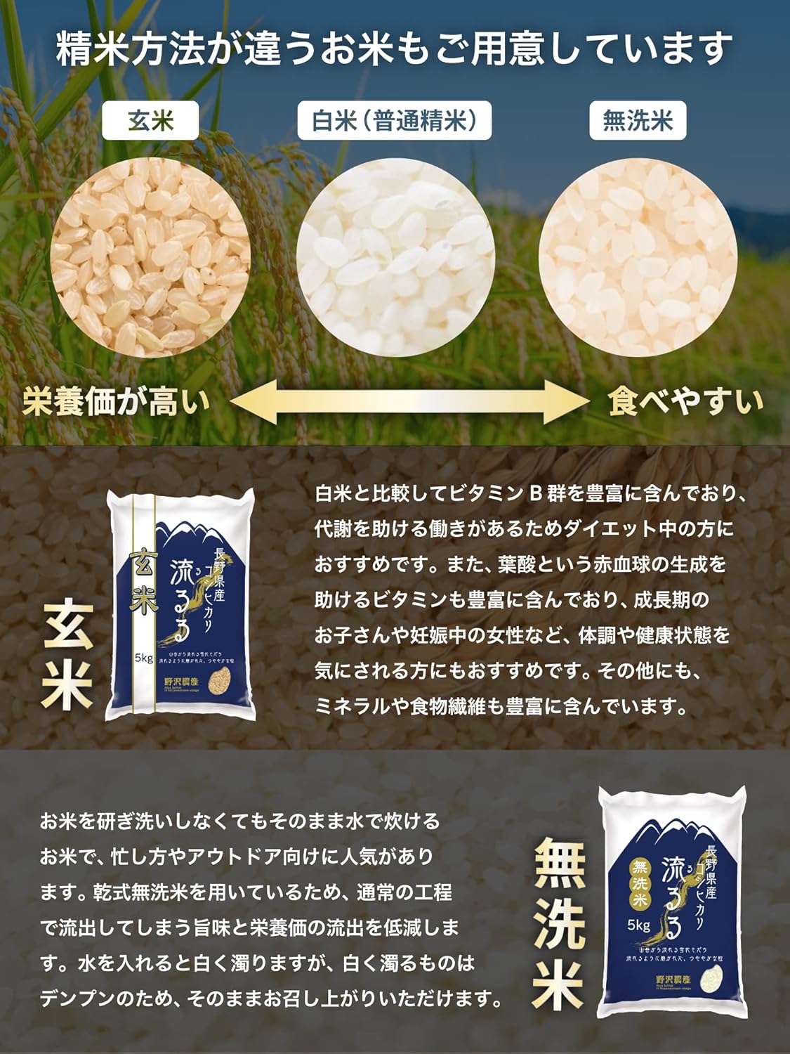野沢農産 米 コシヒカリ 長野県産 令和7年産 5kg 通常精米