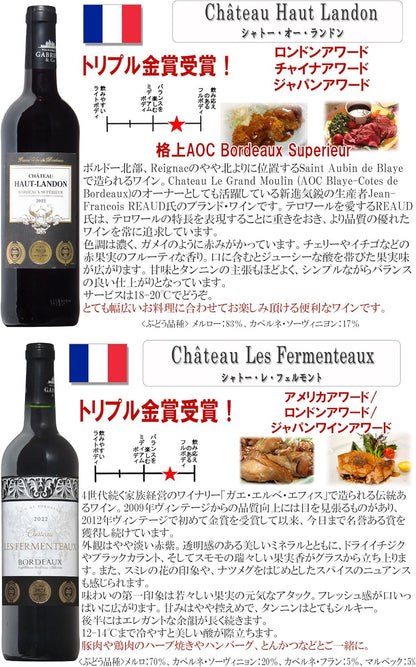ヴィネクシオ 全てトリプル金賞 AOC格上ボルドー入り 赤ワイン 750ml × 6本セット ワイン ソムリエ厳選