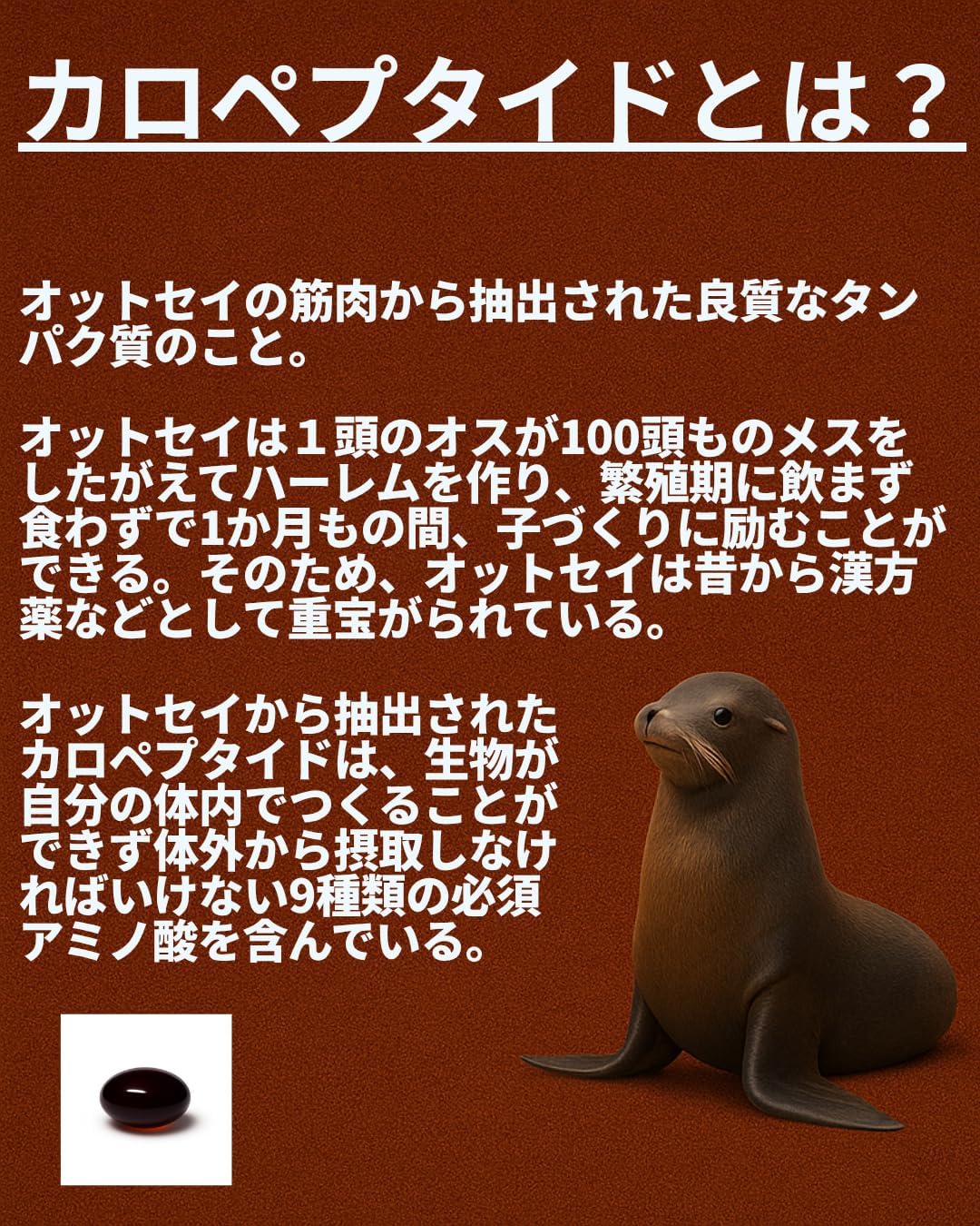 【よみがえる自信】極勃玉 30粒入り カロペプタイド、スッポン、マムシ、スクワレン、ローヤルゼリー