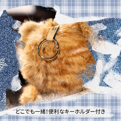 TOP TOY × MayMei「にゃんこアカデミー」シリーズ ぬいぐるみ ペンダント【1ピース】ぬいぐるみ リュック ガチャガチャ ブラインド ボックス フィギュア プラモデル プレミアム おもちゃソフビ 誕生日 プレゼント オリジナル キャラクター クリスマス ギフト コレクター向け