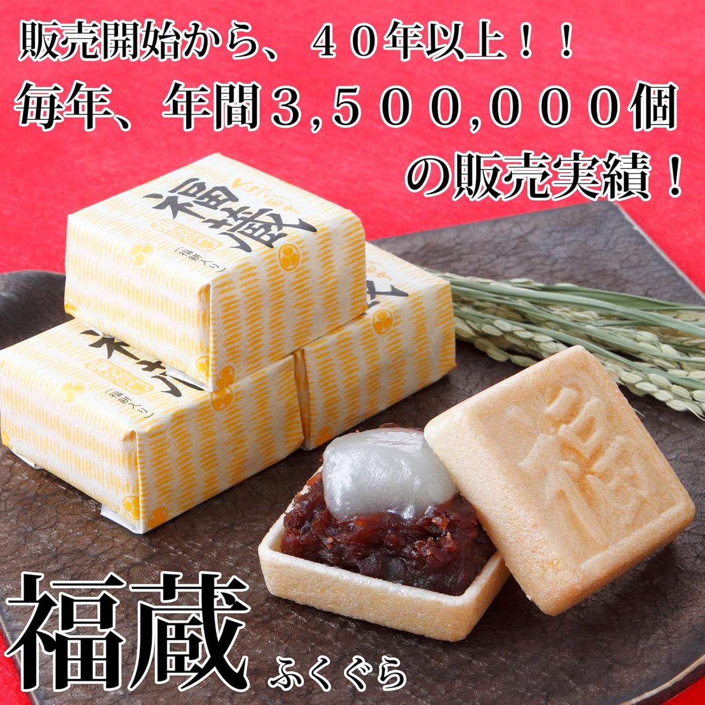 くらづくり本舗 最中 福餅入り 小倉餡 9個入 くらづくり最中 【福蔵】 川越名物 のし対応 ギフト