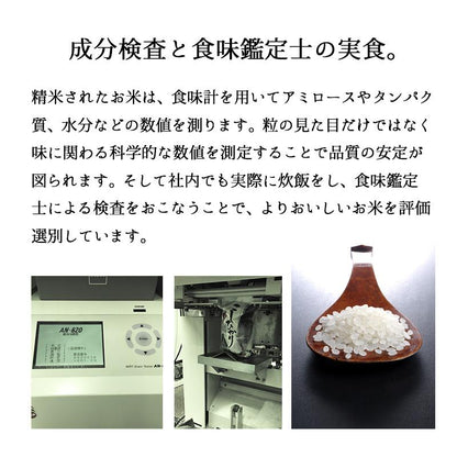セール 米 大地のコシヒカリ 10kg 白米 お米 10キロ お買い得 国産コシヒカリ10割 令和7年産米入り 送料無料 (沖縄のぞく)