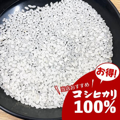 セール 米 大地のコシヒカリ 10kg 白米 お米 10キロ お買い得 国産コシヒカリ10割 令和7年産米入り 送料無料 (沖縄のぞく)