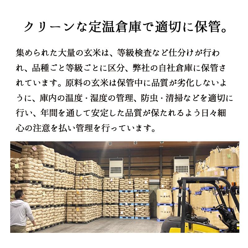 セール 米 大地のコシヒカリ 10kg 白米 お米 10キロ お買い得 国産コシヒカリ10割 令和7年産米入り 送料無料 (沖縄のぞく)