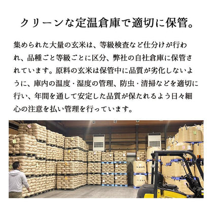 セール 米 大地のコシヒカリ 10kg 白米 お米 10キロ お買い得 国産コシヒカリ10割 令和7年産米入り 送料無料 (沖縄のぞく)