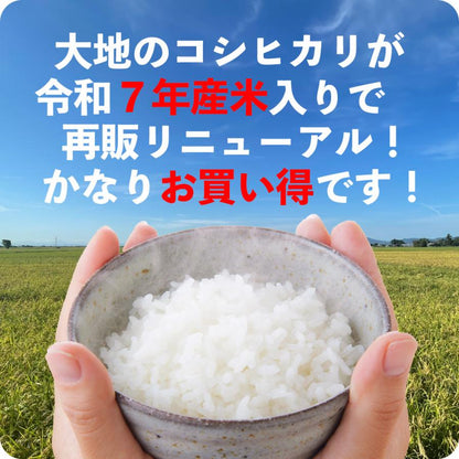 セール 米 大地のコシヒカリ 10kg 白米 お米 10キロ お買い得 国産コシヒカリ10割 令和7年産米入り 送料無料 (沖縄のぞく)